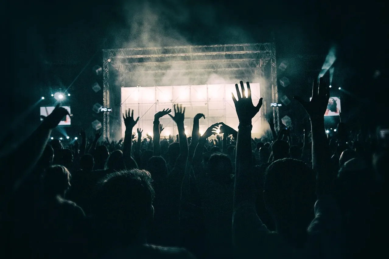 Crowd, free background, concert