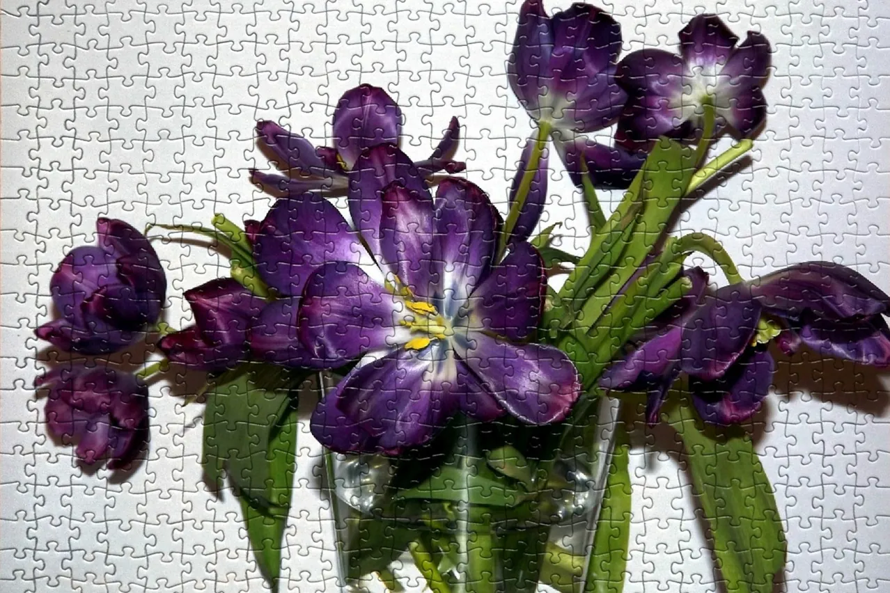 Flower, plant, nature