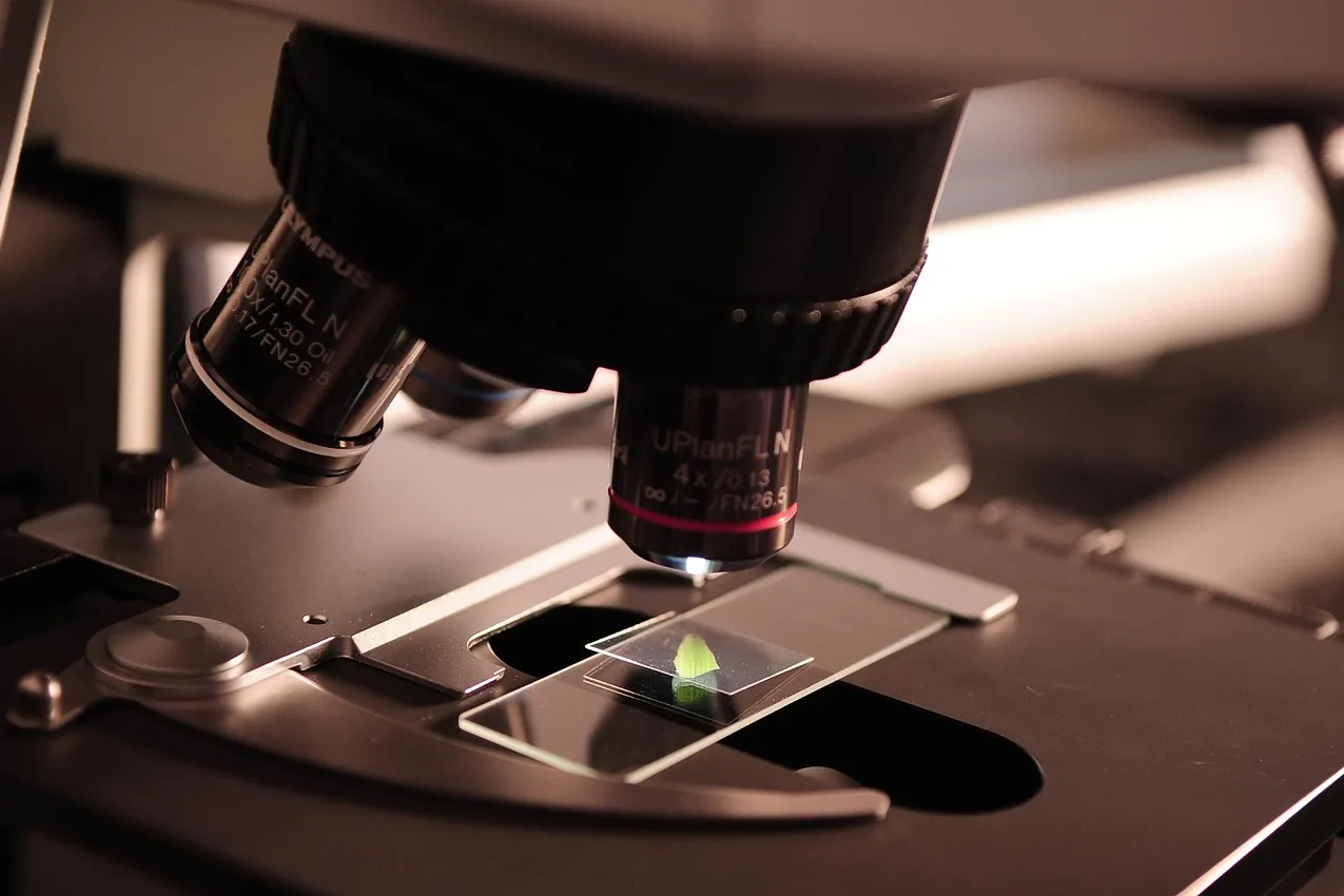 Microscope, research, lab