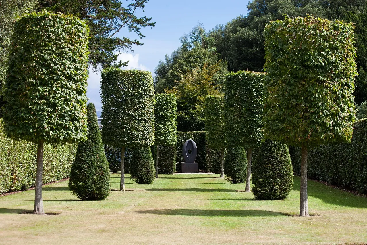 Park, hedge, garden