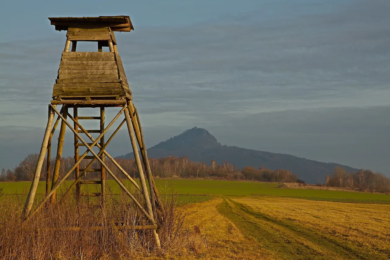 Country, nature, watchtower