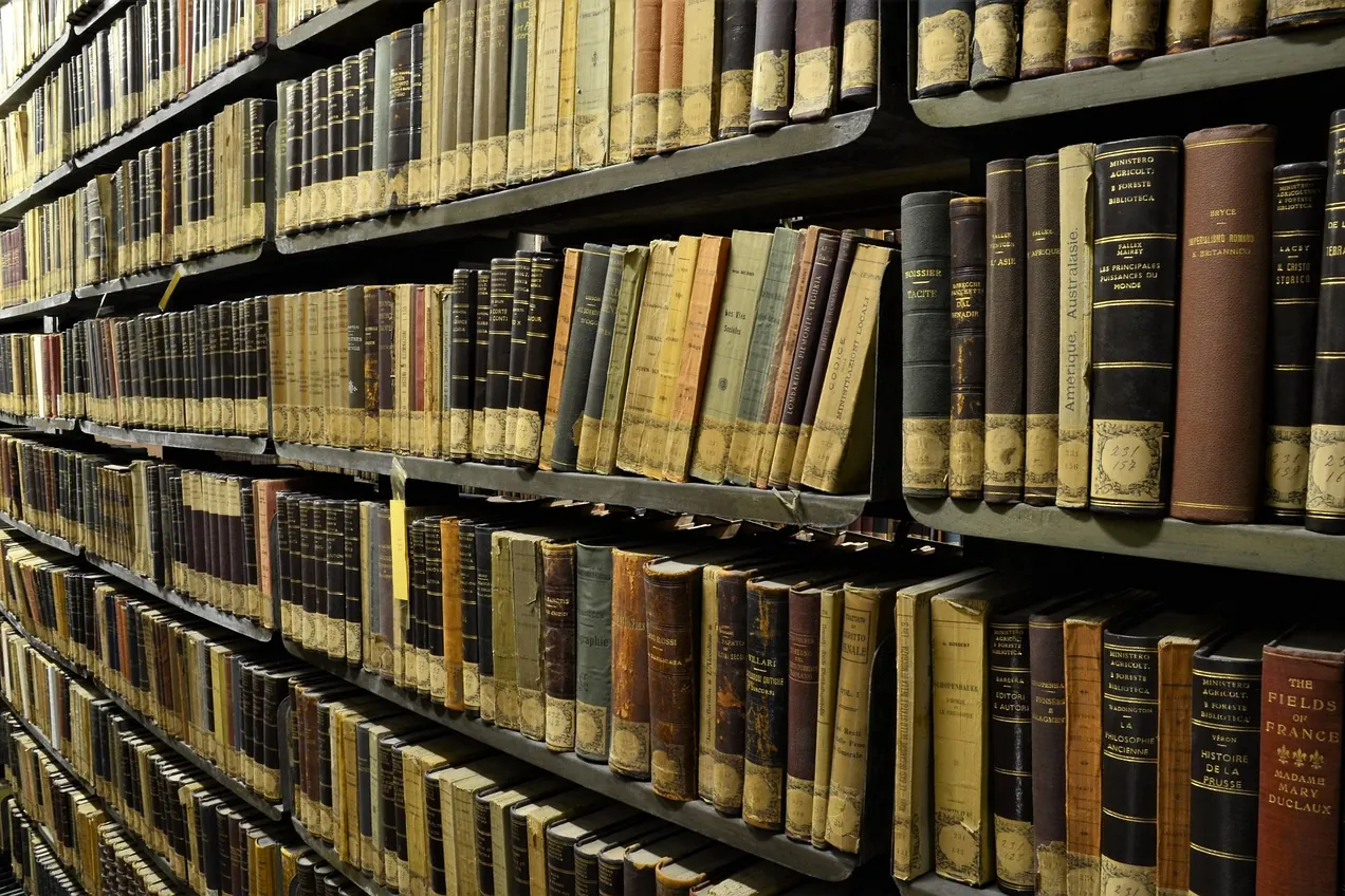 Books, library, bookshelf