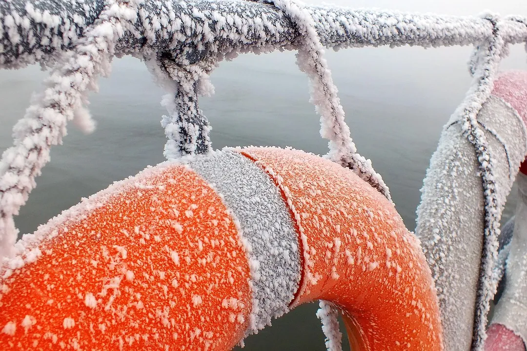 Lifebuoy, winter, nature